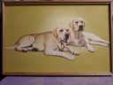 Filename=Graeme_s_paintings_027.jpg
Filesize=1749KiB
Dimensions=3264x2448
Date added=May 10, 2014 Graeme_s_paintings_027.jpg